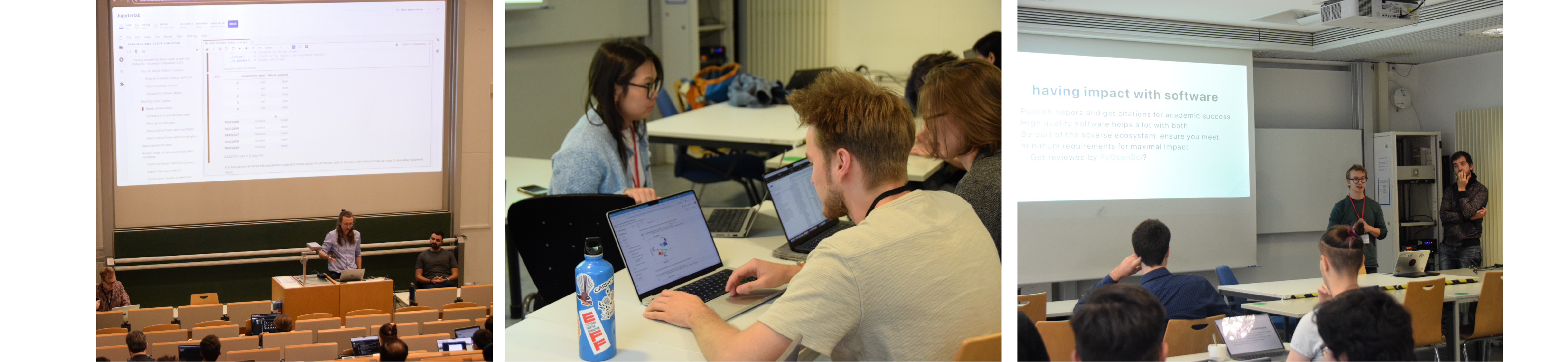 People participating in workshops